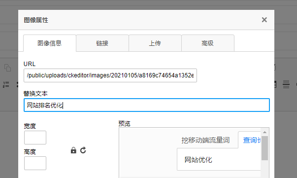網(wǎng)站排名優(yōu)化