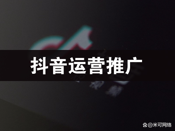 網(wǎng)絡(luò)推廣代運(yùn)營(yíng)公司